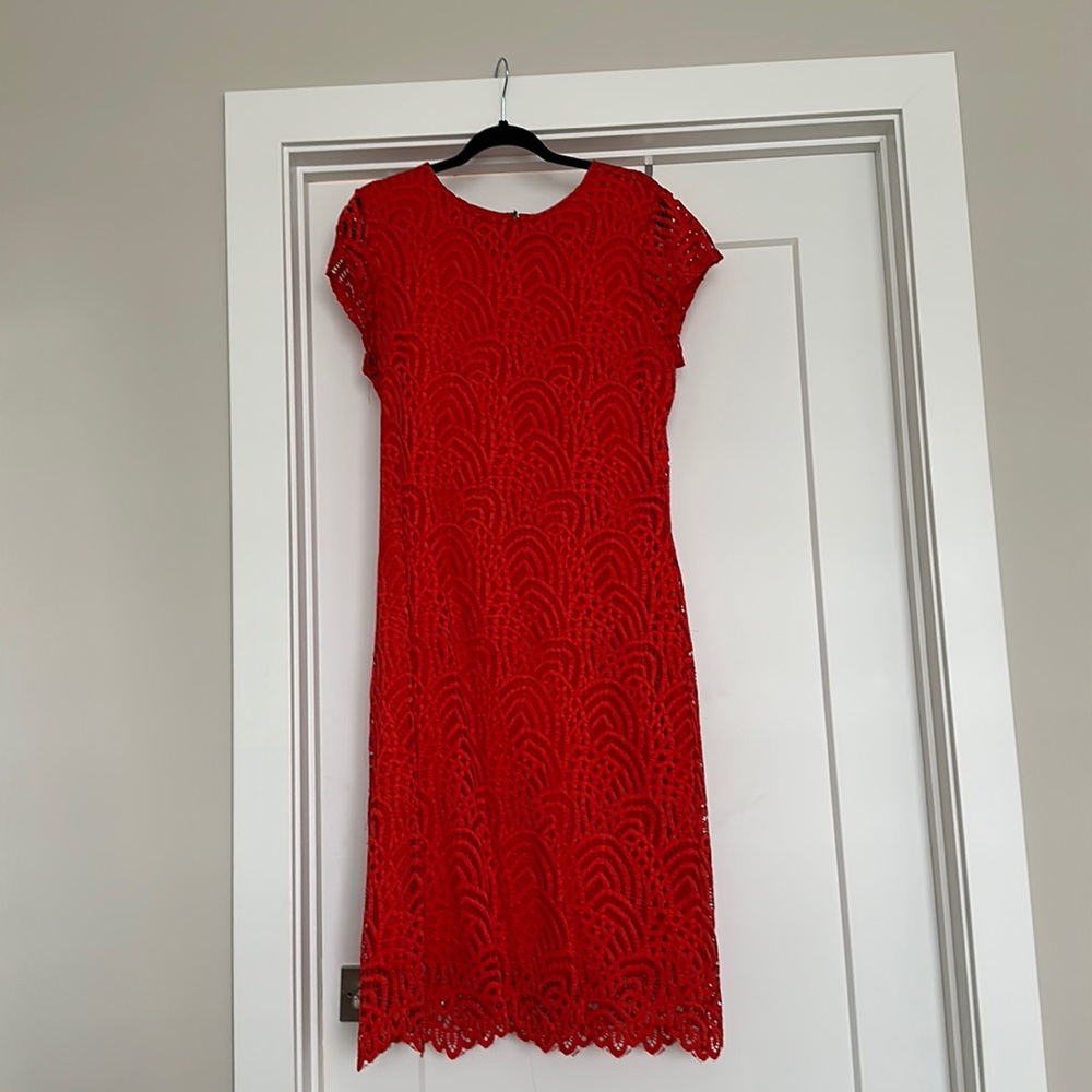 Sharagamo mid length, sheath, dress with cap sleeves and lace overlay detail